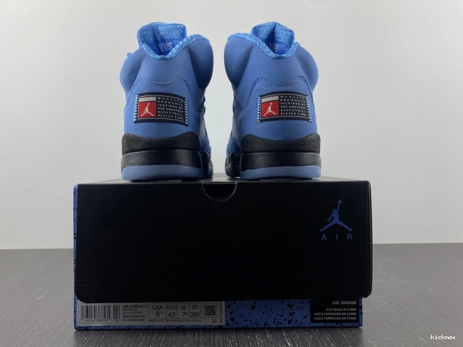 Rep MAX UNC 5 Jordan Air DV1310-401 0808